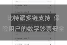 比特派多链支持 保险用户的数字钞票安全
