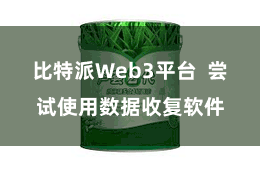 比特派Web3平台  尝试使用数据收复软件