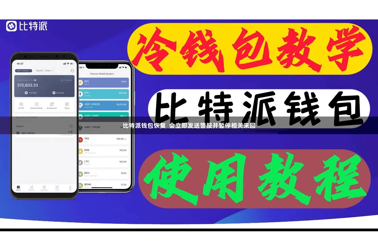 比特派钱包恢复  会立即发送警报并暂停相关来回