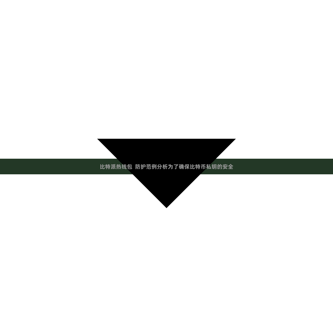 比特派热钱包  防护范例分析为了确保比特币私钥的安全