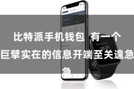 比特派手机钱包  有一个巨擘实在的信息开端至关遑急