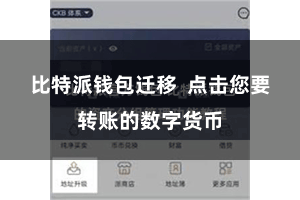 比特派钱包迁移  点击您要转账的数字货币